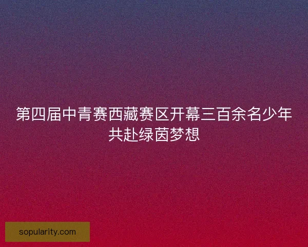 第四届中青赛西藏赛区开幕三百余名少年共赴绿茵梦想